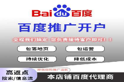 百度广告投放技巧及效果评估案例